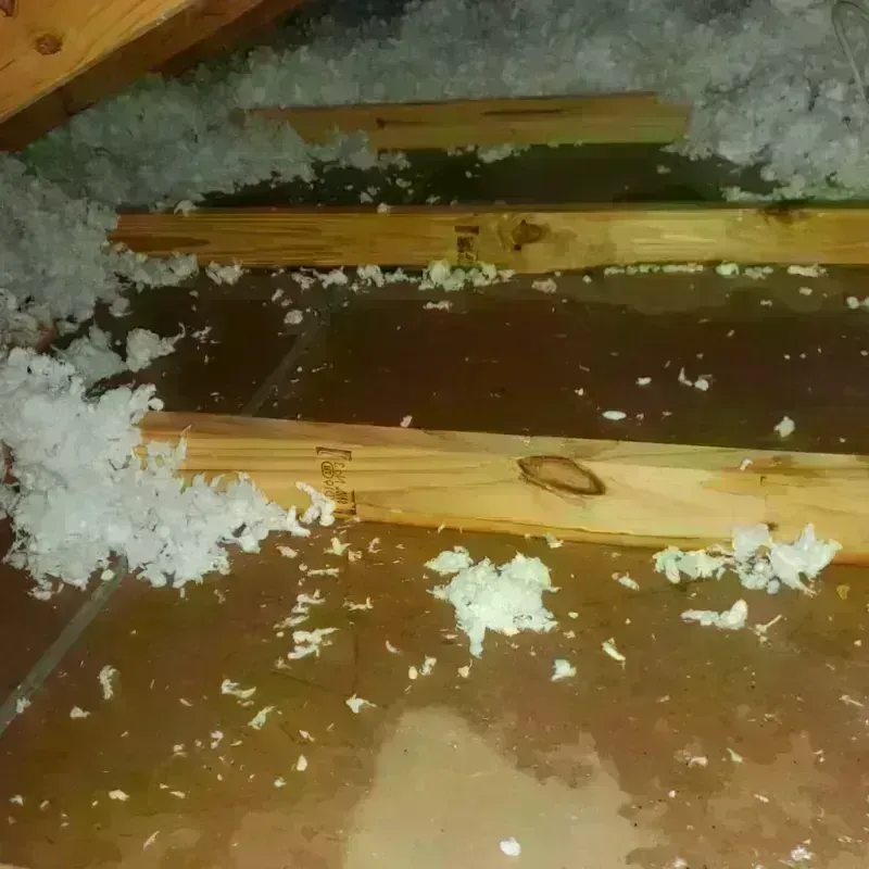 Attic Water Damage in Delaware County, IN